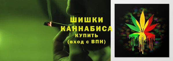 стаф Бронницы