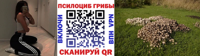 купить закладку  сайты даркнета Telegram  Псилоцибиновые грибы мухоморы  Архангельск 